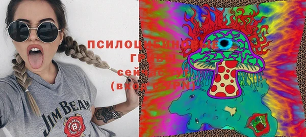 прущие крисы Михайловск