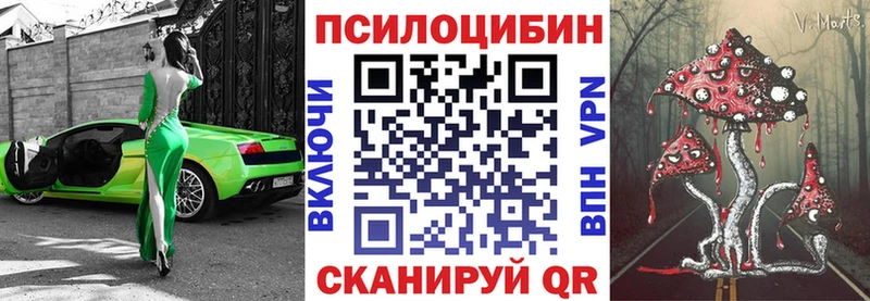 Галлюциногенные грибы MAGIC MUSHROOMS  где купить наркоту  Никольское 